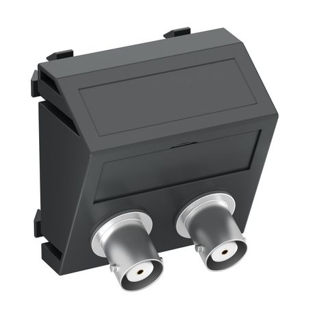 Мультимедийная рамка Audio-BNC Modul45 (черный) (MTS-2BC F SWGR1) | 6105105 OBO Bettermann