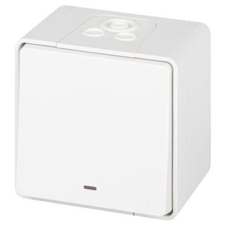 Выключатель одноклавишный наружный (открытой установки) с подсветкой IP55 белый 10А 250В винтовые зажимы ЭРА Эксперт 11-1502-01 - Б0063305