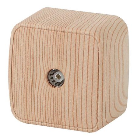 Розетка телевизионная одиночная TV ОП Polo 3-301-11 IP20 сосна Intro Б0036111 ЭРА