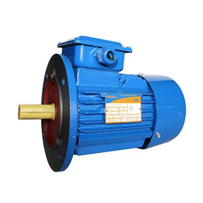 Электродвигатель (5АИ) 80 А8 0.37,0кВт 750 об./мин. IM 3081 (фланец) | 01.01.213715 Элком ОРЛАН