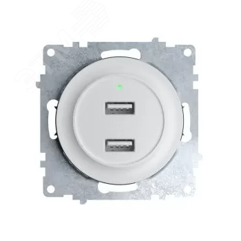 Розетка USB двойная, с подсветкой, цвет белый | 2260089 ССТ