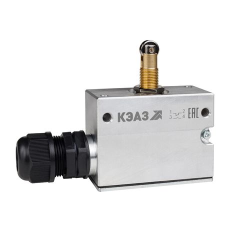 Микропереключатель МП-1205м/01 (толкатель-ролик-продольное расположение-винт-фронт гайками) | 347472 КЭАЗ