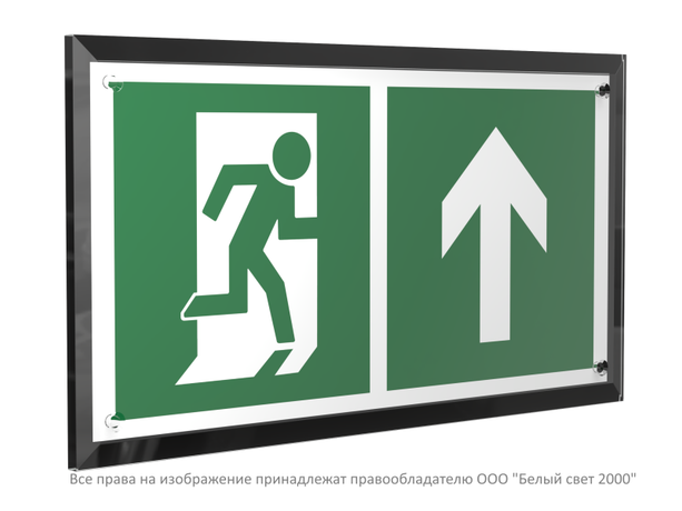 Знак безопасности PT-32178-Black.E38 "Напр. к эвакуационному выходу прямо " Белый свет a32721 BS