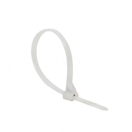 Хомут нейлоновый со стальным зубом (б), 3x100 (100шт) EKF PROxima | plc-fl-ctsbw-3x100