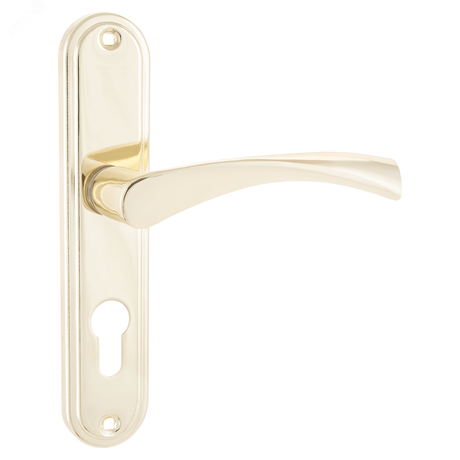 Ручка на планке под замок и цилиндровый механизм (комплект), АЛЛЮР 103-1 55мм GP золото - 1054 ПТК