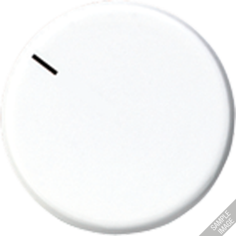 Специальная накладка - MSTR231GR JUNG