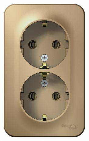 Розетка 2-м ОП Blanca 16А IP20 250В с заземл. без защ. шторок титан SE BLNRA010204 APC