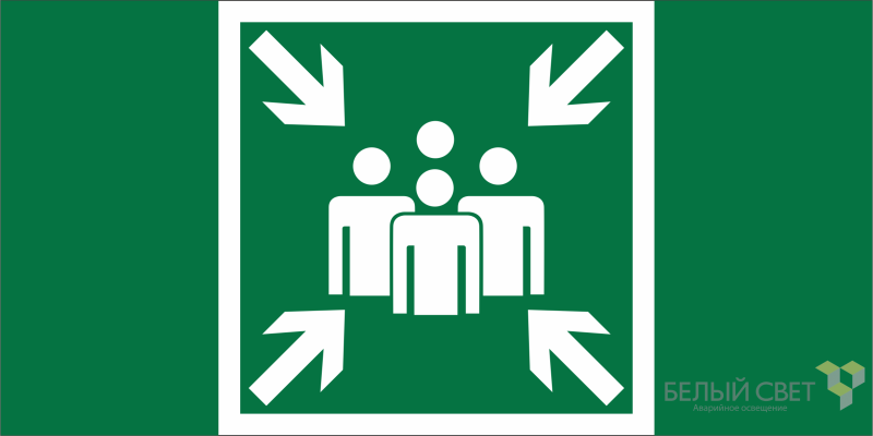 Знак безопасности BL-3015.E21 "Пункт (место) сбора" Белый свет a19433 BS