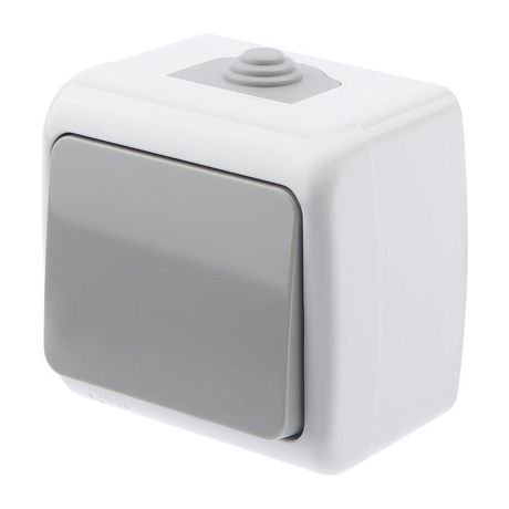 Выключатель Intro Atlantic 5-101-03 10А-250В, IP54, открытой установки, серый ЭРА - Б0050940