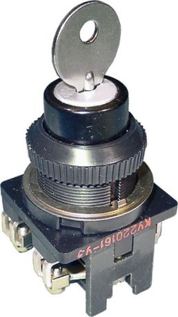 Выключатель кнопочный КУ-200161 Реле и Автоматика A8119-80080195