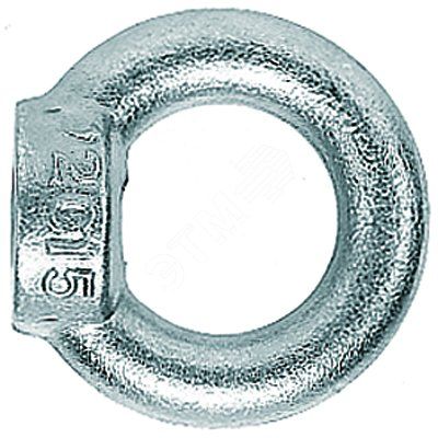 Рым-гайка RI M8 - 80840 Fisher