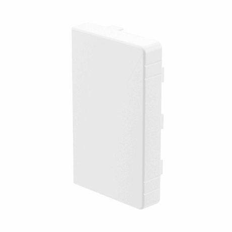 Заглушка LAN 60x40 (розница, 2 шт в пакете) - 00869R ДКС