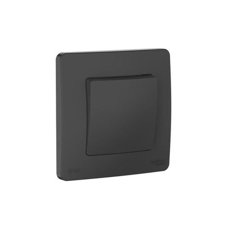 Переключатель 1-кл. СП Blanca 10А IP44 (сх.6) 250В антрацит SE BLNVS410606 APC
