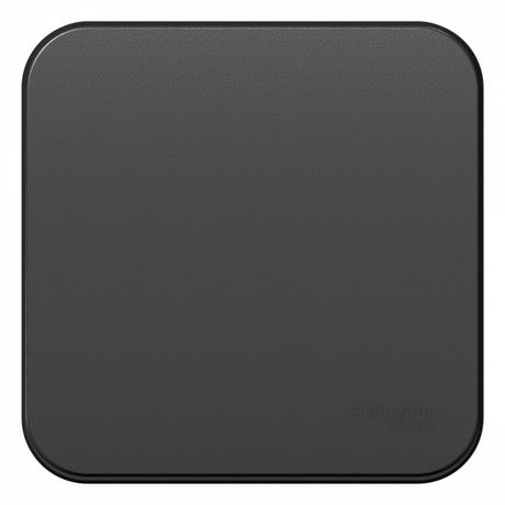 Выключатель одноклавишный наружный BLАNCА (cх.1) с самовозвратом, изолирующей пластиной, 10А, антрацит - BLNCA101016 APC