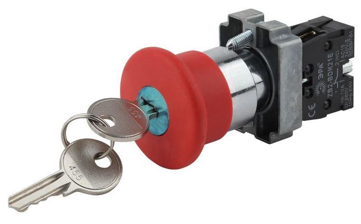 Кнопка управления LAY5-BS142 "Грибок"с ключом крас. d22мм 240В 1р (20/200/3200) | Б0045637 ЭРА