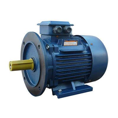 Электродвигатель (5АИ) 160 М2 18,5кВт 3000 об./мин. IM 2001 (комби (лапы+фланец)) | 01.01.213697 Элком ОРЛАН