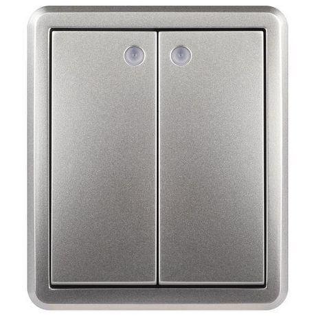 Выключатель двухклавишный наружный (открытой установки) с подсветкой IP 20 алюминий 10А 250В винтовые зажимы ЭРА Эксперт 11-1205-03 - Б0063001