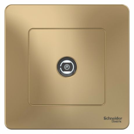 Розетка телевизионная TV 1-м СП Blanca коннектор титан SE BLNTS000014 APC