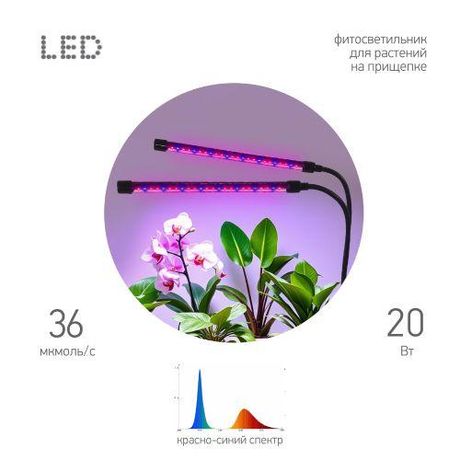 Светильник светодиодный для растений на прищепке красно-синего спектра 20 Вт FITO-20W-АLED-RB - Б0068275 ЭРА