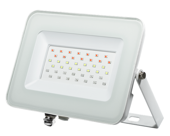 Прожектор светодиодный PFL- 30W RGB WH IP65 БЕЛЫЙ | .5012103 Jazzway