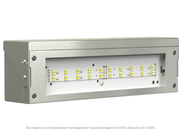 Светильник аварийный BS-DBU-10-L2-ELON Белый свет a18759