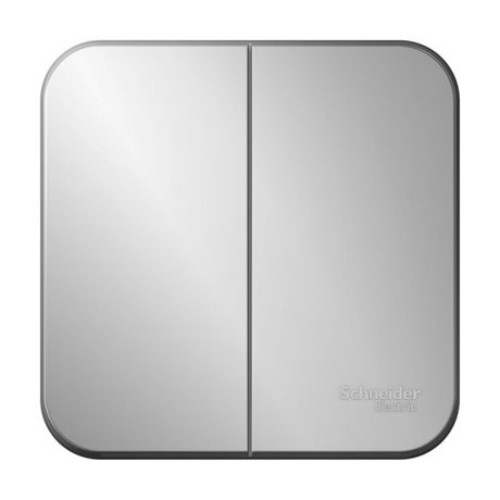 Выключатель 2-кл. ОП Blanca 10А IP20 (сх. 5) 250В алюм. SE BLNVA105003 APC