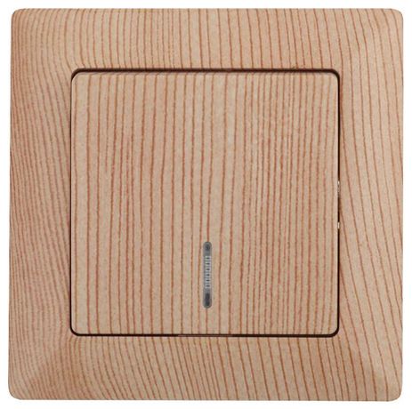 Выключатель одноклавишный скрытого монтажа с подсветкой сосна 10А 250В Intro Solo 4-102-11 - Б0053572 ЭРА