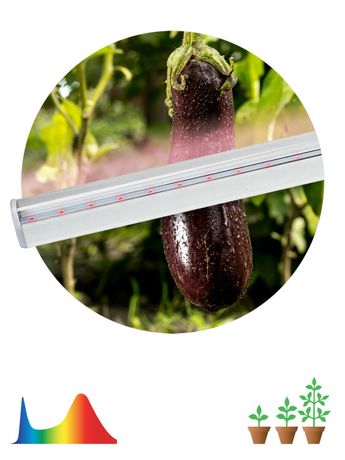 Светильник светодиодный настенно-потолочный линейный Фито 14Вт для растений LLED-05-T5-FITO-14W-W ЭРА - Б0028200