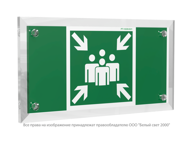 Знак безопасности PT-12228.E21''Пункт (место) сбора'' - a20899 BS