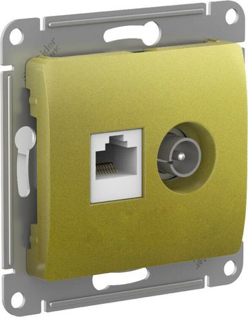 Розетка компьютерная + телевизионная 2-м Glossa RJ45 кат.5E TV механизм фисташк. SE GSL001089 APC