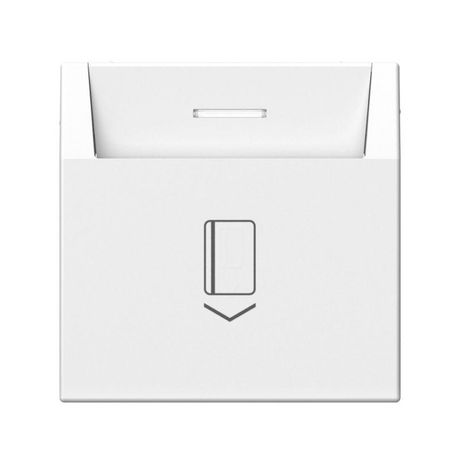 Выключатель карточный ArtGallery 10А без задержки времени быстрозажим. клем. бел. SE GAL000114S APC