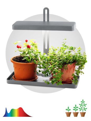 Светильник светодиодный для выращивания растений FITO-20W-QLED-G ЭРА - Б0039035