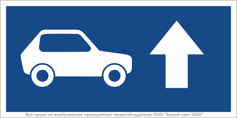 Знак безопасности BL-3015B.N21''Указатель движения автомобилей прямо'' - a32481 BS
