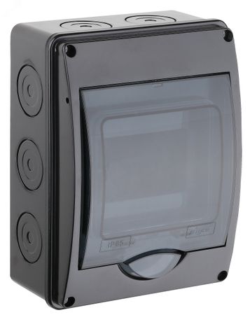 Щиток распределительный навесной на 5 модулей с дверцей черный IP66 (ЩРн-П-5) - 69005Ч TYCO