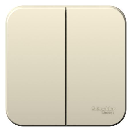 Выключатель наружный двухклавишный BLANCA (cх.5), 10A, 250B, молочный - BLNVA105002 APC