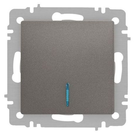 Выключатель одноклавишный, в рамку (скрытого монтажа) с подсветкой сталь 10А 250В винтовые зажимы Intro Accent 6-102-09 - Б0063460 ЭРА