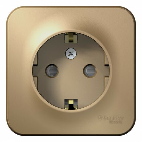 Розетка 1-м ОП Blanca 16А IP20 250В с заземл. защ. шторки изолир. пластиной титан SE BLNRA011114 APC