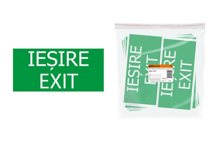 Знак "ВЫХОД" 200х100мм (румынский язык) | SQ0817-0072 TDM