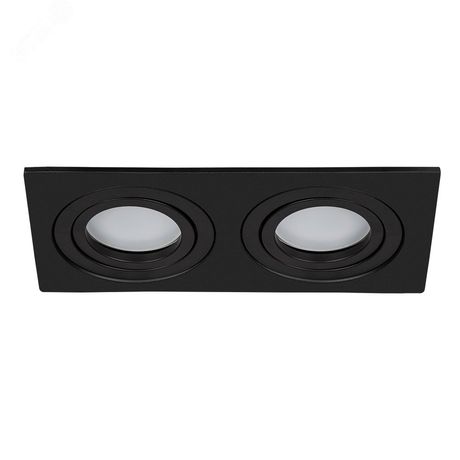 Светильник точечный встраиваемый TARF GU10 2х35Вт Алюминий Чёрный - A2168PL-2BK Arte Lamp