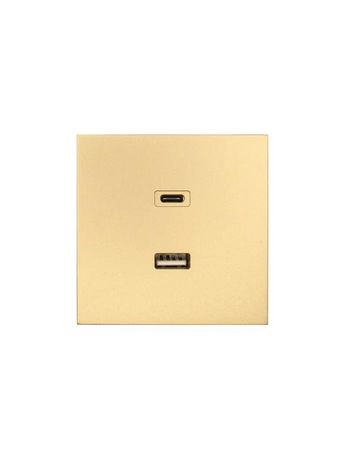 Розетка Type-C+ USB разъем СП ZIMA IP20 зол. LEZARD 704-3688-192TC