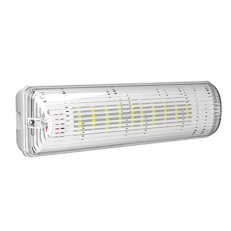 Светильник аварийный BS-METEOR-71-L2-INEXI3-MSS3 Белый свет a22303