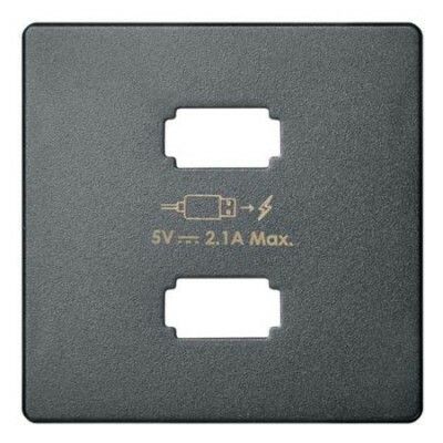 Накладка для зарядного устройства 2xUSB цвета матовый титан S82 Concept | 8221096-096 Simon