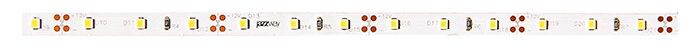 Лента светодиодная PLS 2835/60-12V Blue 6Вт/м син. IP65 (уп.5м) JazzWay 2858979