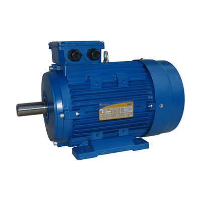 Электродвигатель (5АИ) 100 L8 1,5кВт 750 об./мин. IM 1081 (лапы) | 01.01.213553 Элком ОРЛАН