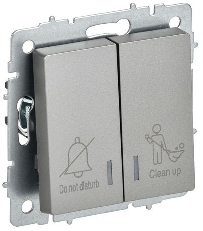 Выключатель 2-кл. BRITE 10А ВС10-2-9-БрС для отелей с индик. механизм сталь IEK BR-V20-2-10-K46