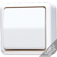 Выключатель двухполюсный накладной слоновая кость - 602A JUNG