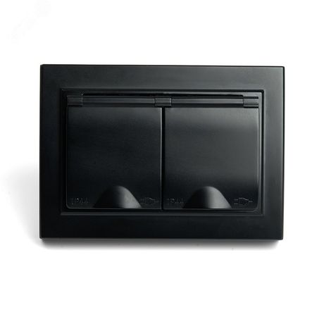 Розетка двухместная с/з с крышкой, 250В, 16А серия Эрна, черный Stekker - PST16-9015-03 49138 FERON