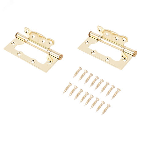 Петля дверная накладная без врезки 2шт АЛЛЮР 100х75 2BB BP золото (латунь) - 7499 ПТК