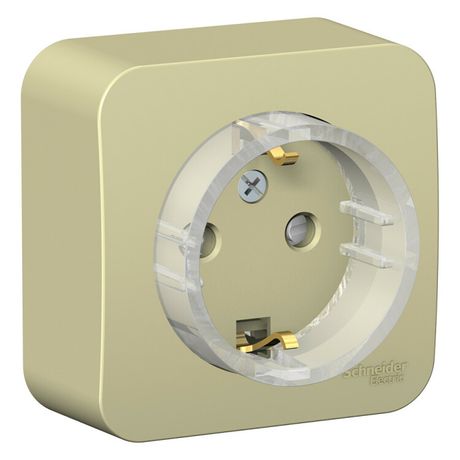 Розетка 1-м ОП Blanca 16А IP20 250В с заземл. защ. шторки изолир. пластиной (компакт) беж. SE BLNRA111117 APC