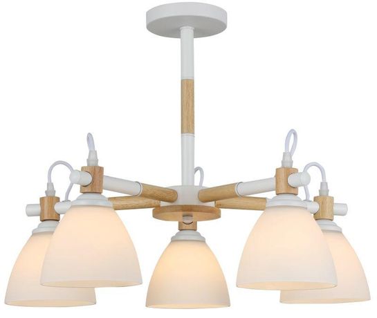 Люстра Louise 9175-305 5 х Е27 40 ВТ модерн | Б0060983 Rivoli ЭРА